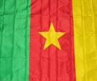 Kamerun Bayrağı
